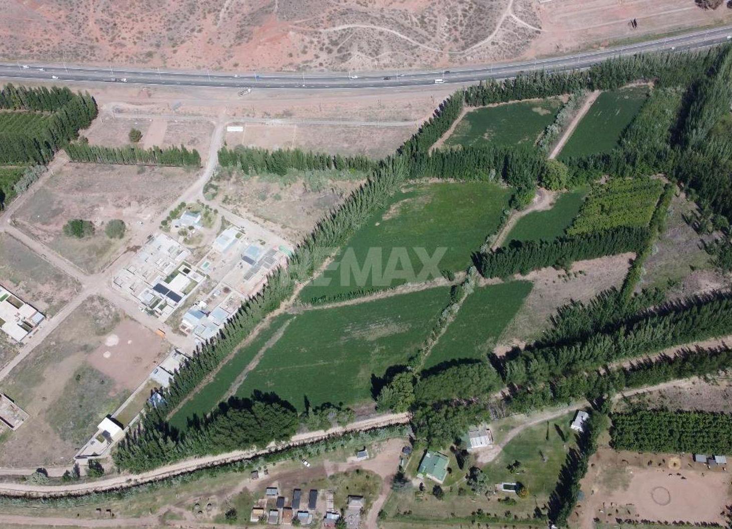 Foto de LOTE EN VENTA - LA CONSUELO, CENTENARIO, imagen 3