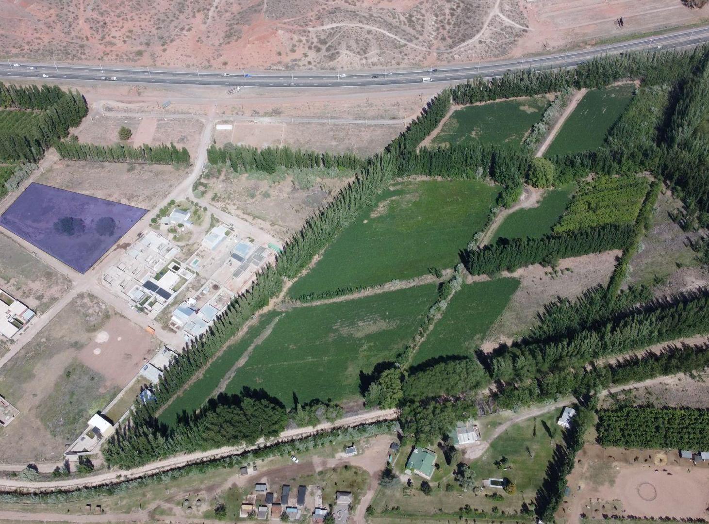 Foto de LOTE EN VENTA - LA CONSUELO, CENTENARIO, imagen 1