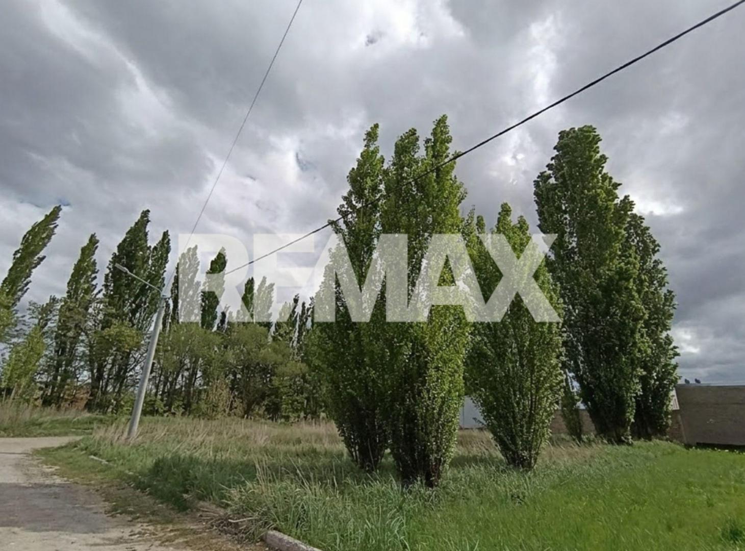 Foto de VENTA LOTE B° ALTOS DE CNEA PLOTTIER, imagen 4