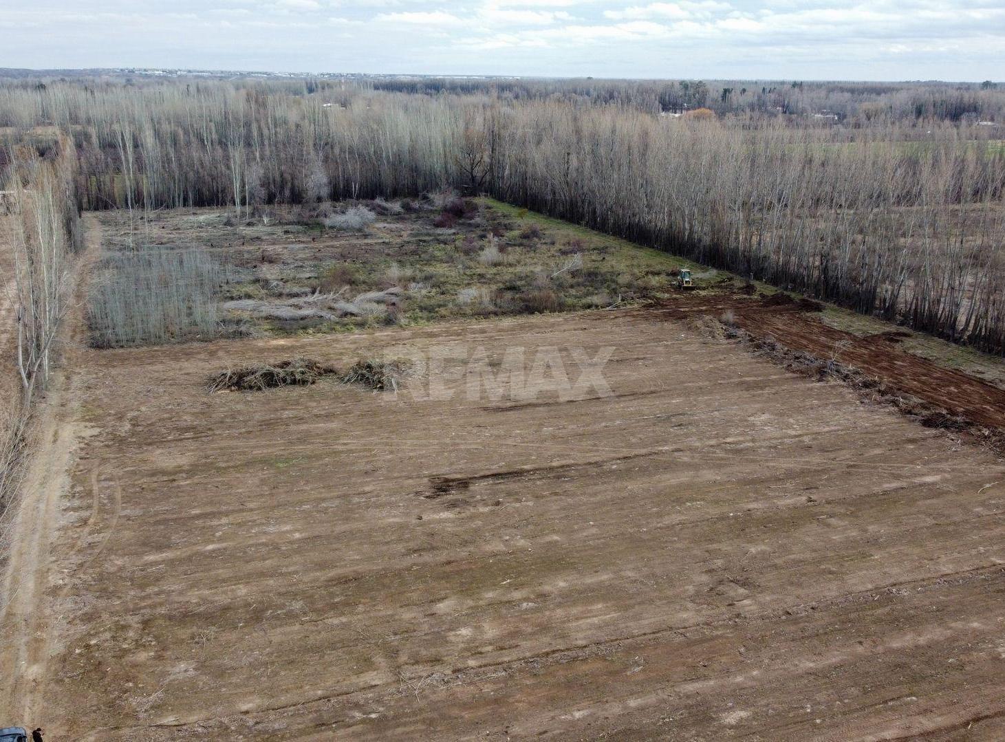 Foto de Venta Terreno b° Cerrado Finca Cardales Cipolletti, imagen 3