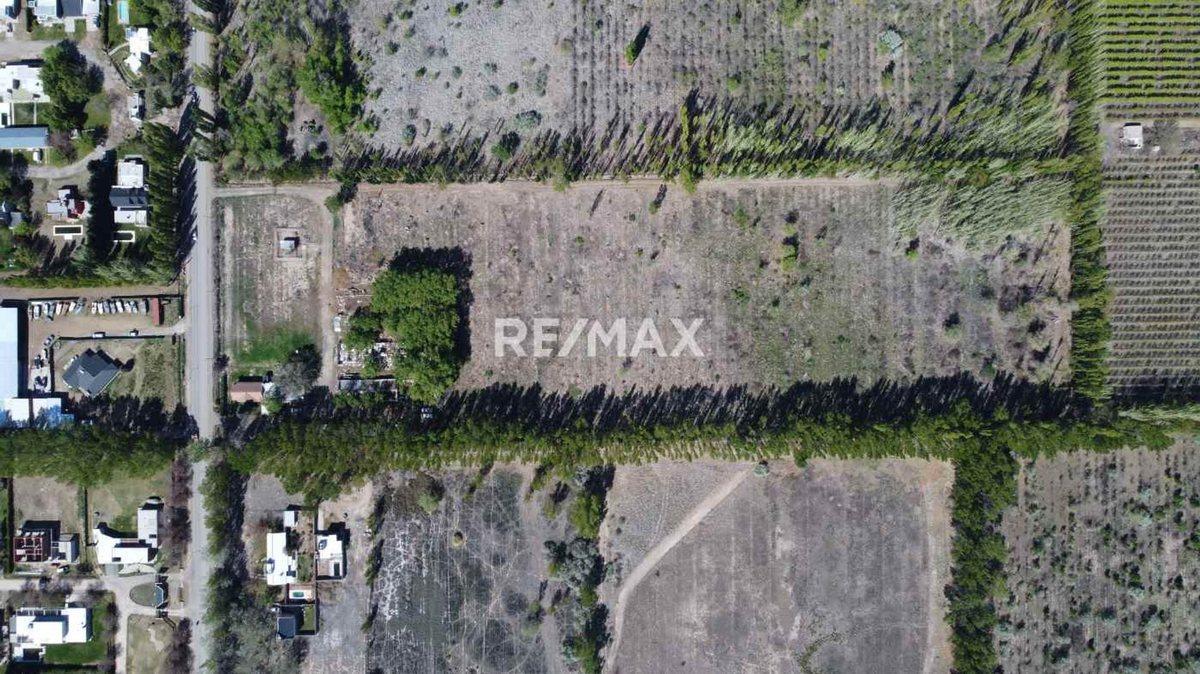 Foto de VENTA EXCLUSIVA | FINCA CARDALES | CIPOLLETI, imagen 5