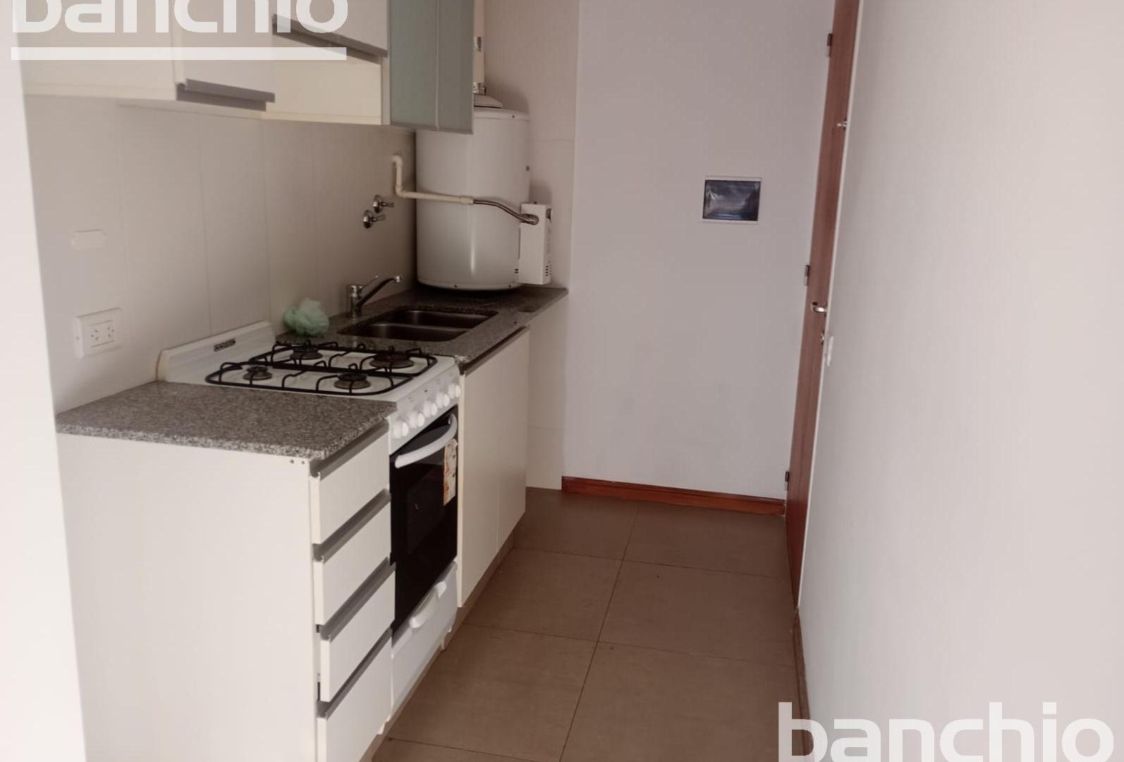 Foto de Departamento en alquiler, imagen 4