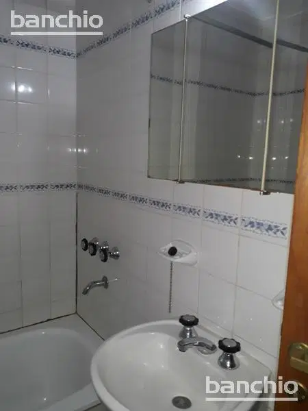 Departamento - Centro 3