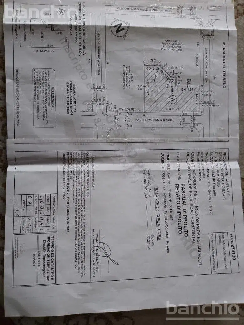 Plano 4