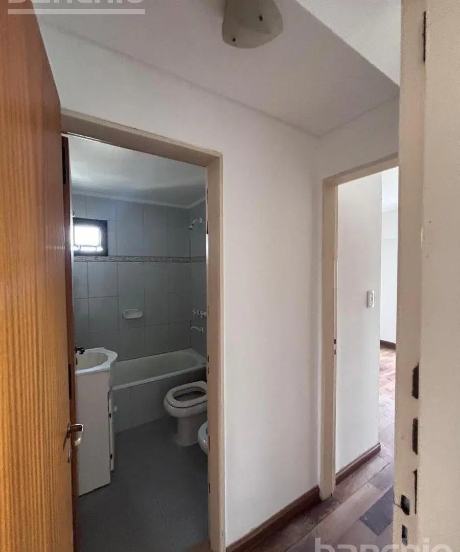 Departamento - Centro 4