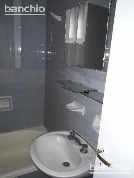 Departamento - Centro 5