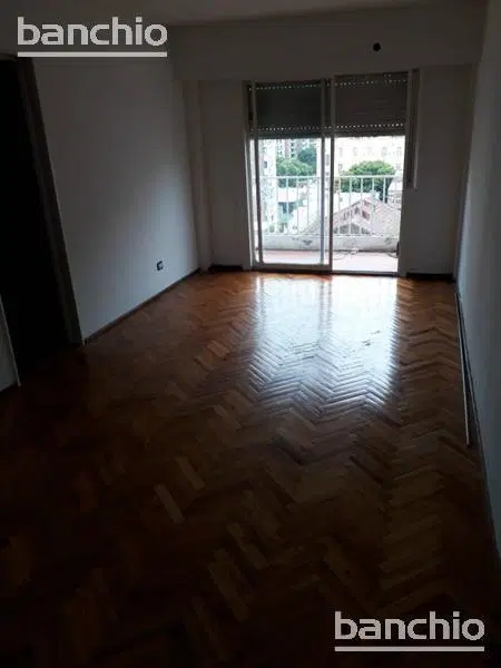Departamento - Centro 3