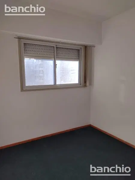 Departamento - Macrocentro 4