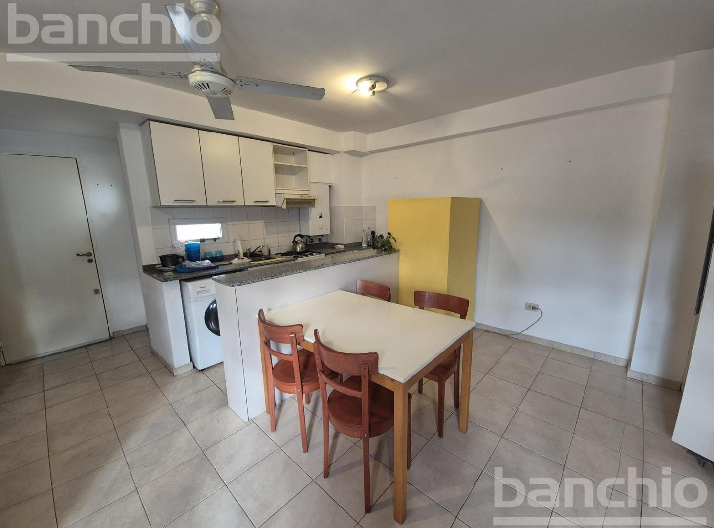 Foto de Venta Departamento Duplex en Barrio Martin, imagen 1