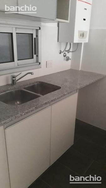 Foto de Departamento - Zona Centro, imagen 3