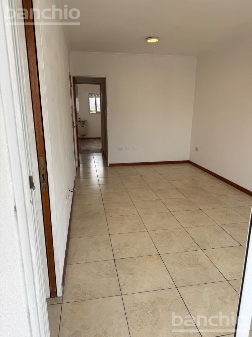 Foto de Departamento en alquiler, imagen 5