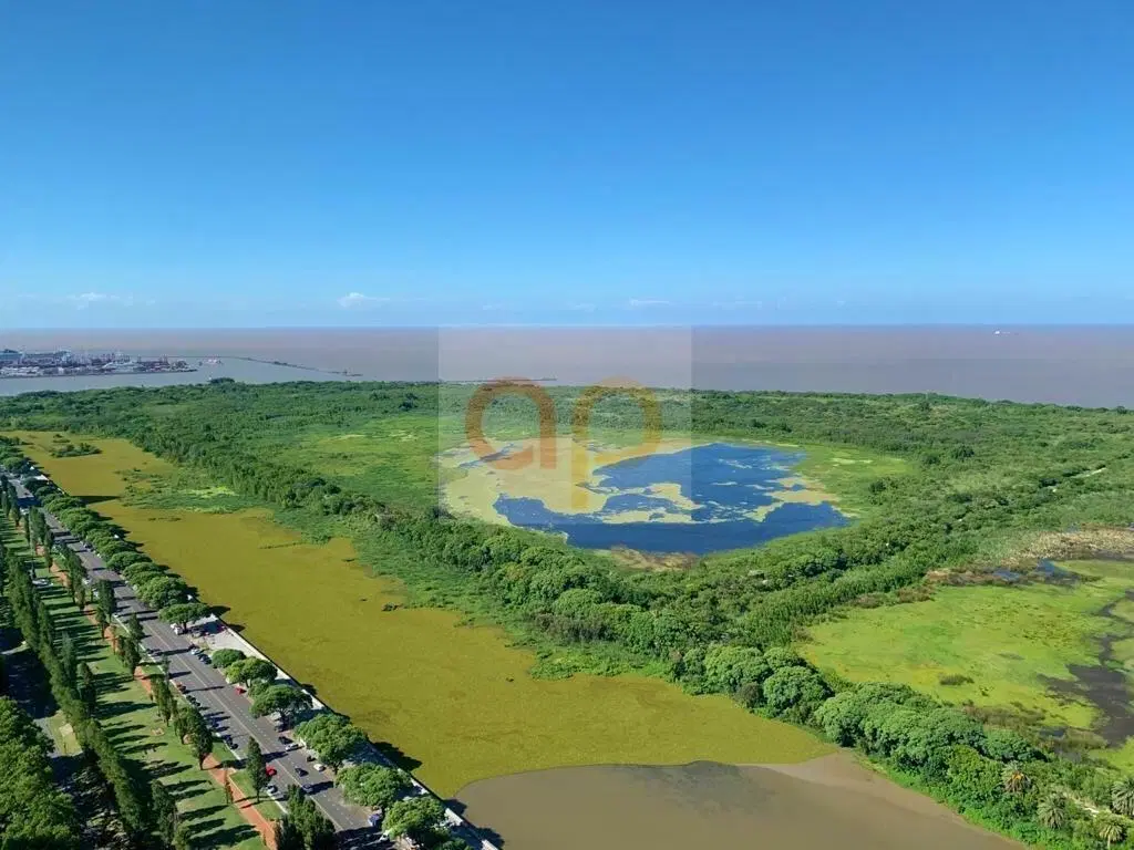 U$S 7.000 - 5 amb (359 mts) -Puerto Madero -  El Faro - Azucena Villaflor 600 (DaD-1) 5