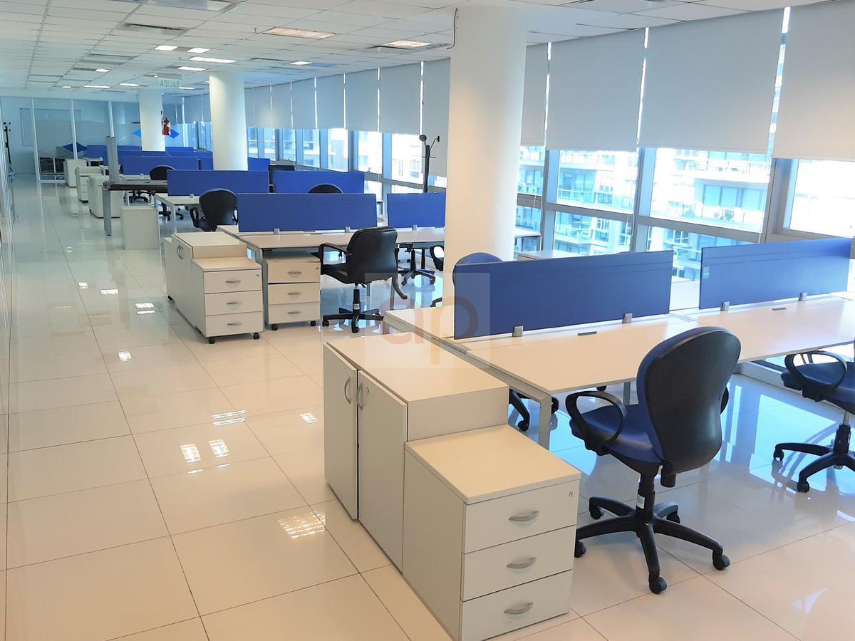 Foto de U$S 3.800 - Oficina 275 mts2 - 3 Cocheras - Puerto Madero - Madero, imagen 2