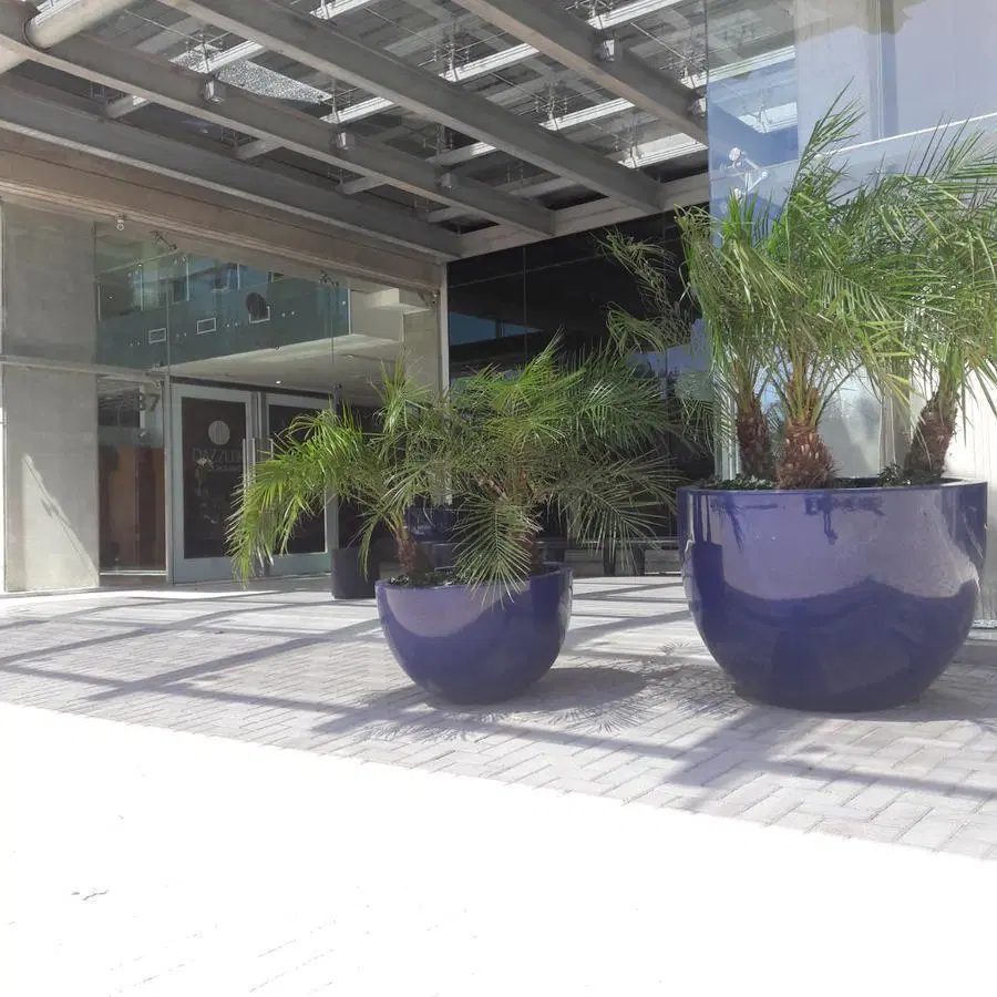 Oficina en Norte 3