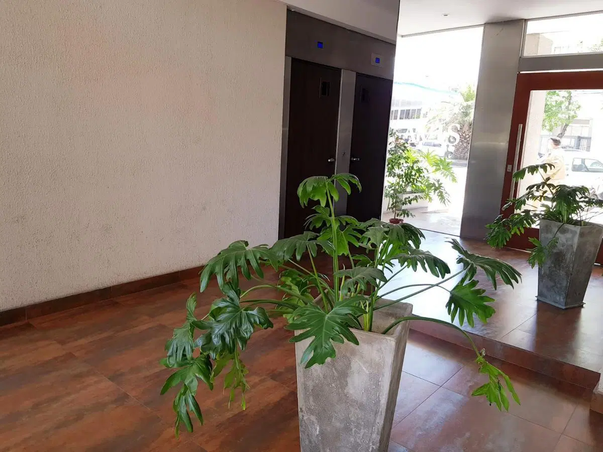 Excelente departamento en Alquiler Av Francia 1600 3
