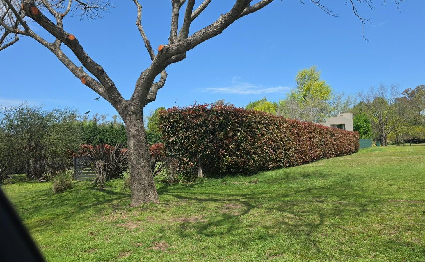 Foto de VENTA Lote de 1.200 m² en Kentucky Club de Campo Funes, imagen 4