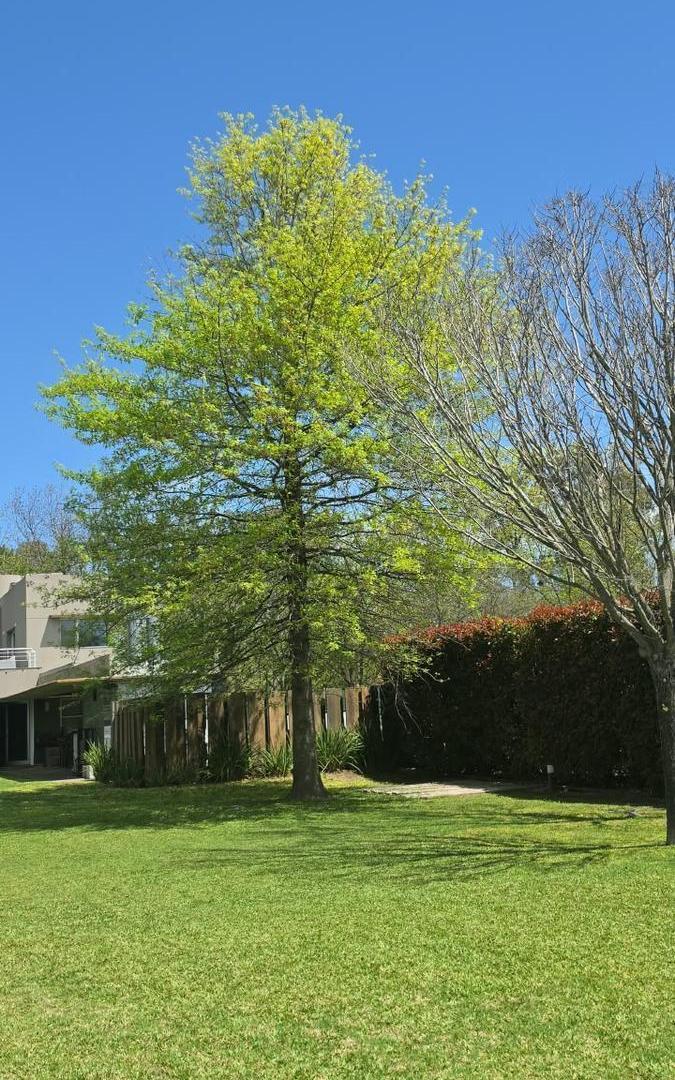 Foto de VENTA Lote de 1.200 m² en Kentucky Club de Campo Funes, imagen 5