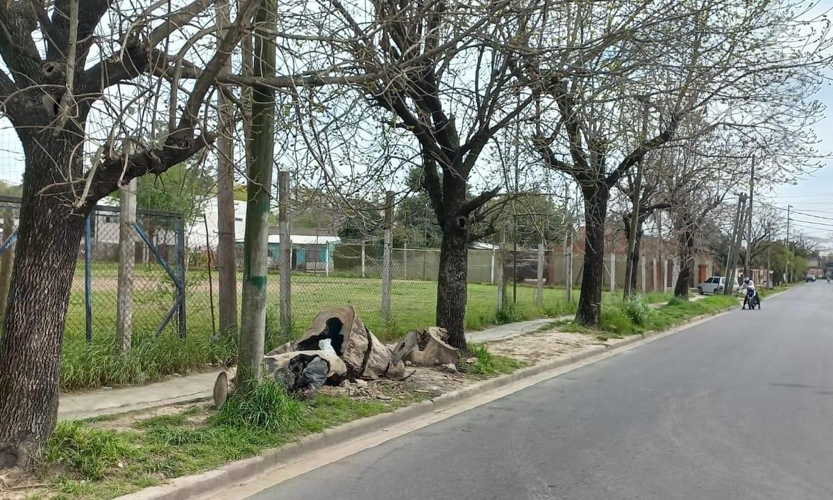 LOTEO ANGONELLI ENTRE FALUCHO Y AZOPARDO!!!