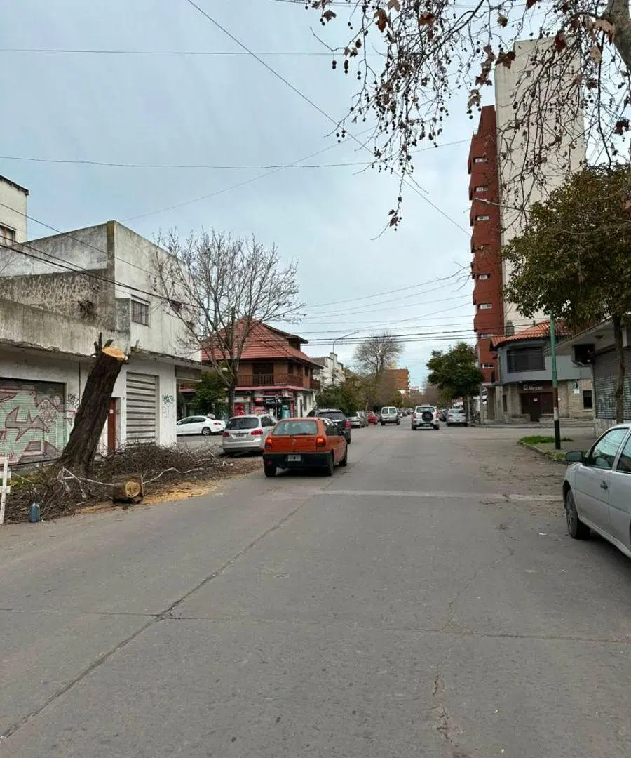CASA Y DEPTO A RECICLAR A 250M DE AV. LURO IDEAL USO PROFESIONAL 3