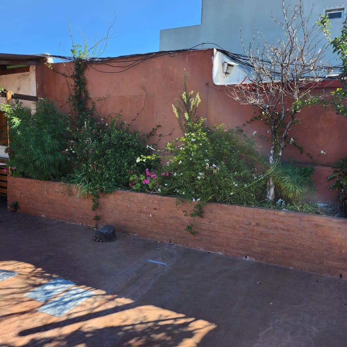 Olavarria 700 - 6 Ambientes con Terraza - Ideal Hostel / Vivienda / Estudio 5