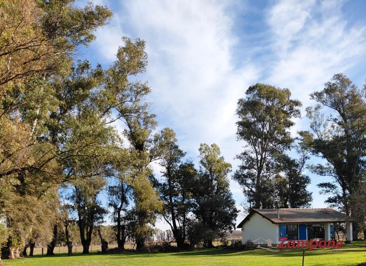 Foto de Venta Campo de 12,7 hectareas en Ruta 47 km 5 a Navarro , Lujan, imagen 1