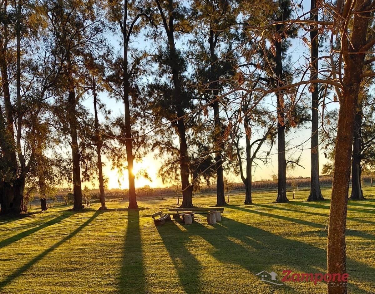 Foto de Venta Campo de 12,7 hectareas en Ruta 47 km 5 a Navarro , Lujan, imagen 2