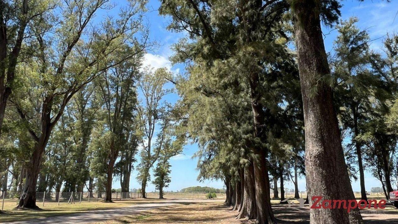 Foto de Lote ubicado en el barrio Laguna dentro del complejo "Villa de Campo, imagen 3