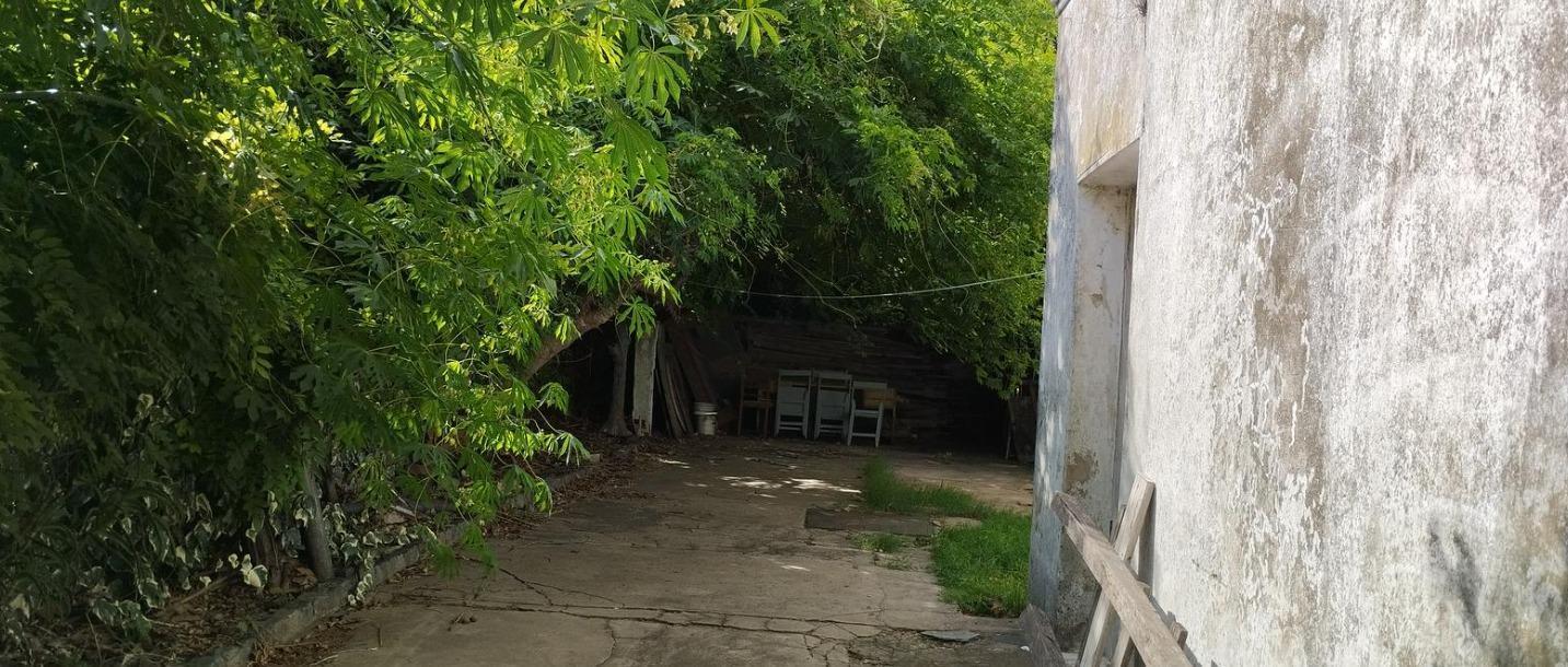 Foto de Terreno en San Fernando, imagen 2