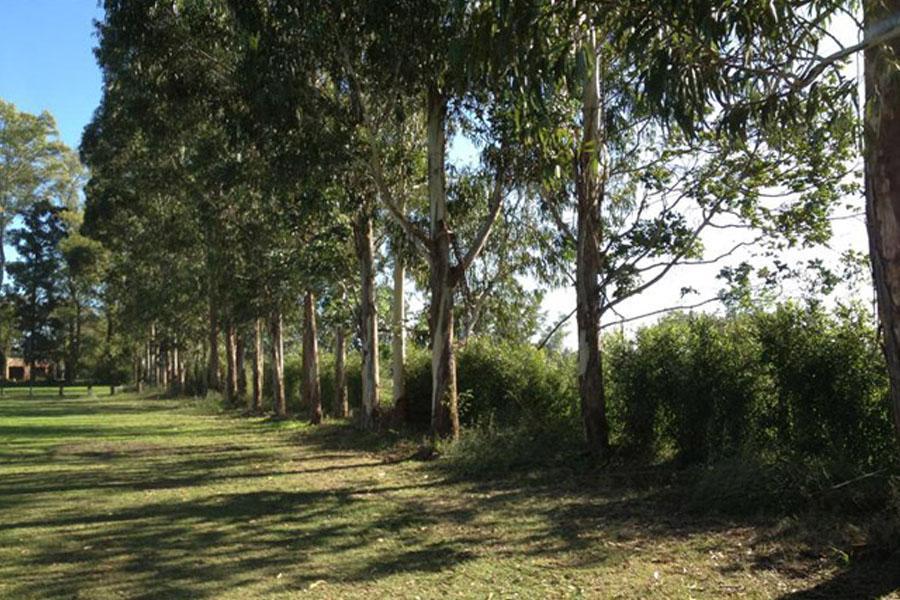Foto de Terreno en venta en Santo Tomas, Pilar, imagen 3