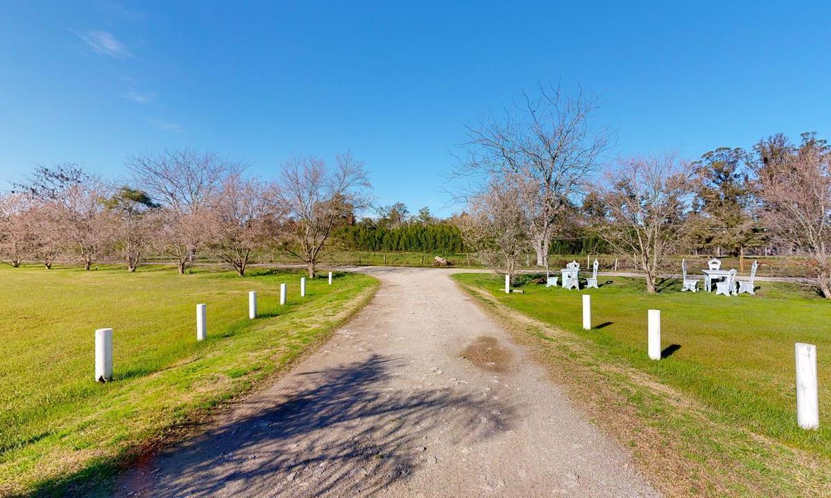 Quinta en Venta en La Plata - Dacal Bienes Raíces 4