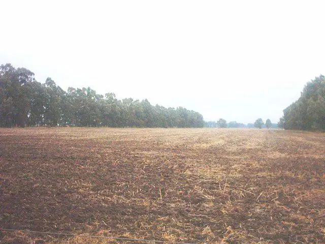Campo en venta Mercedes 5