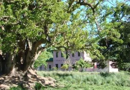 Campo en venta en Bme Bavio Gral Mansilla 5