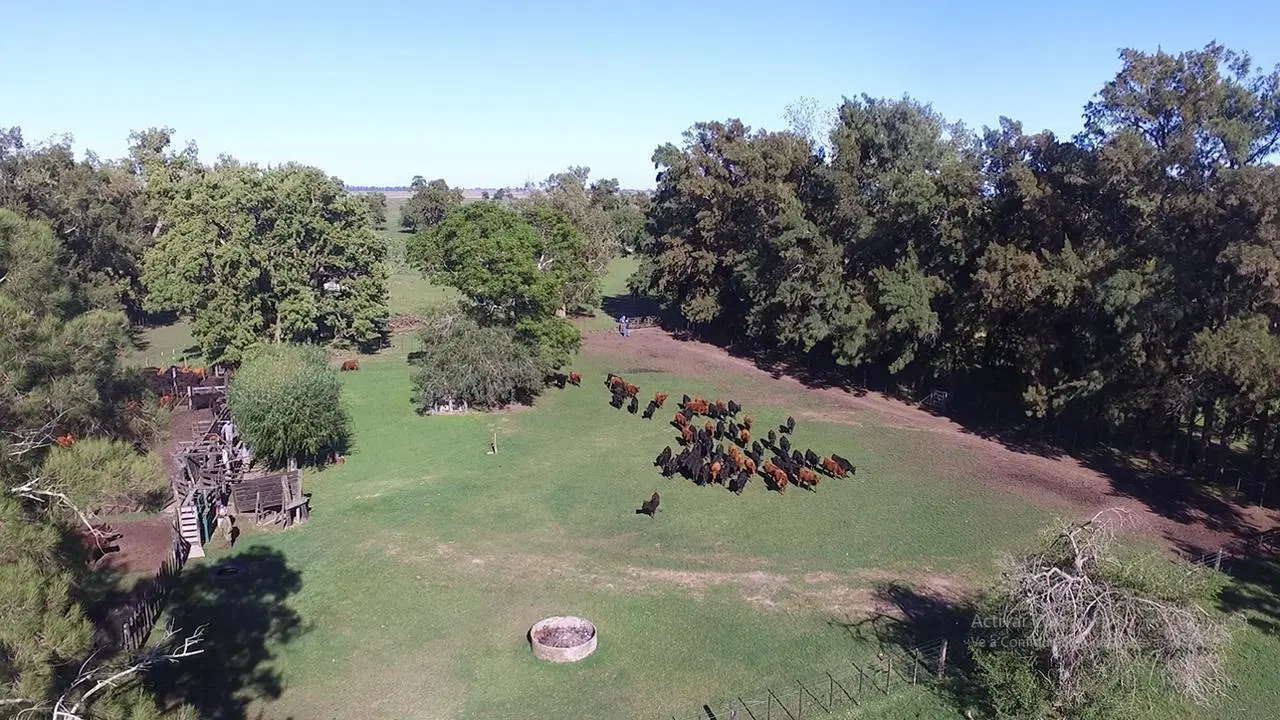 Campo en venta en Bme Bavio Gral Mansilla 4
