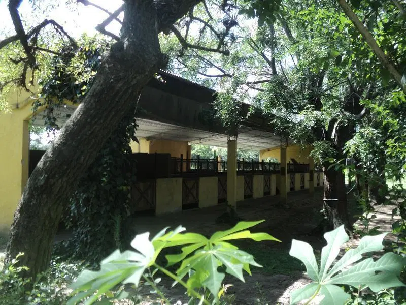 Campo en venta Lujan 3
