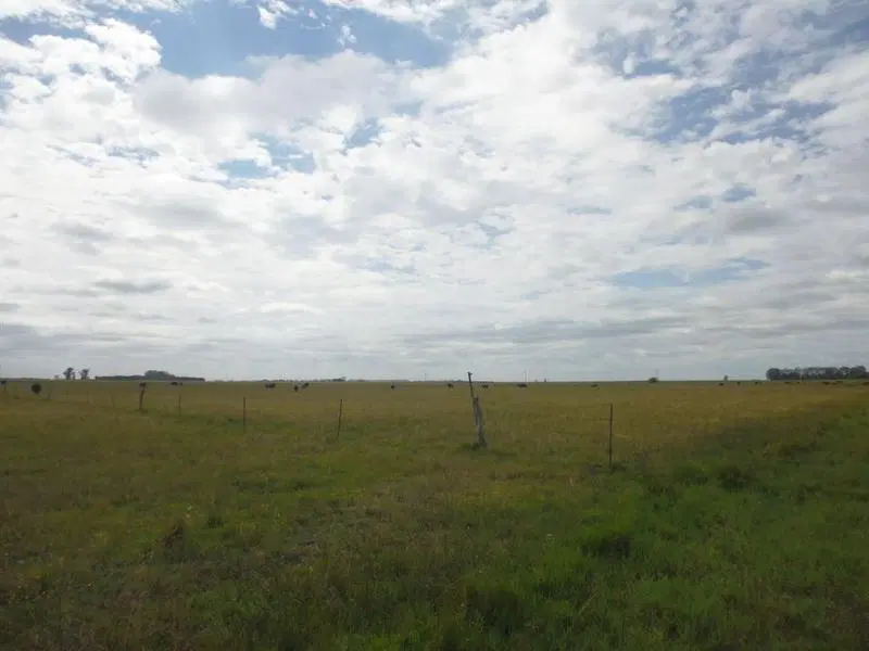 Campo en venta en Magdalena 5
