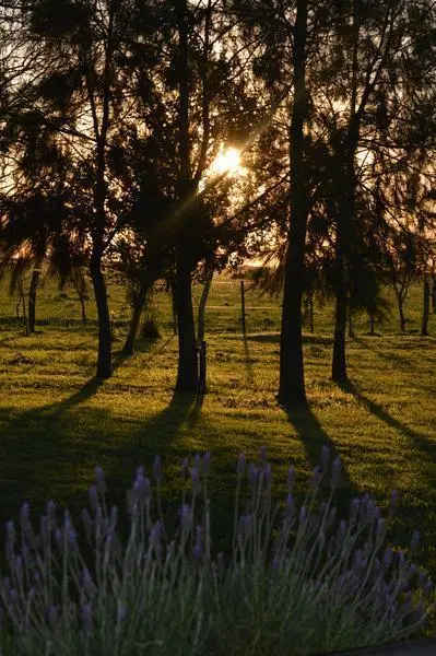 Campo en venta en Magdalena 3