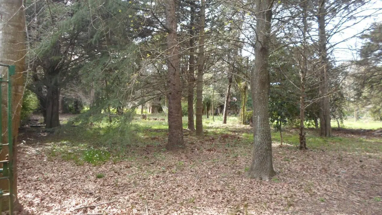Casa en Venta La Plata 4