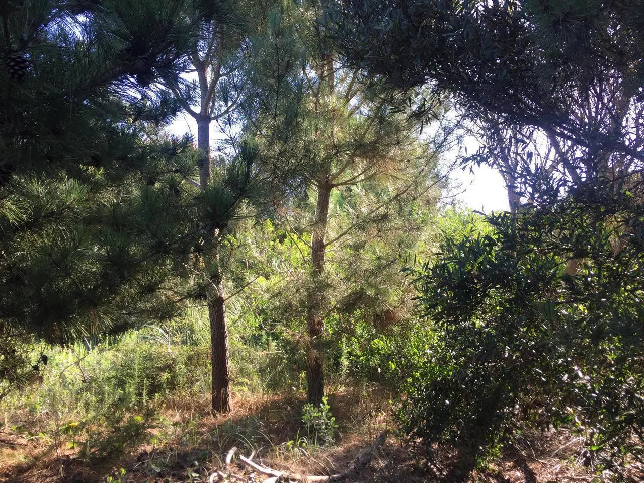 Terreno en venta Mar de Las Pampas 3