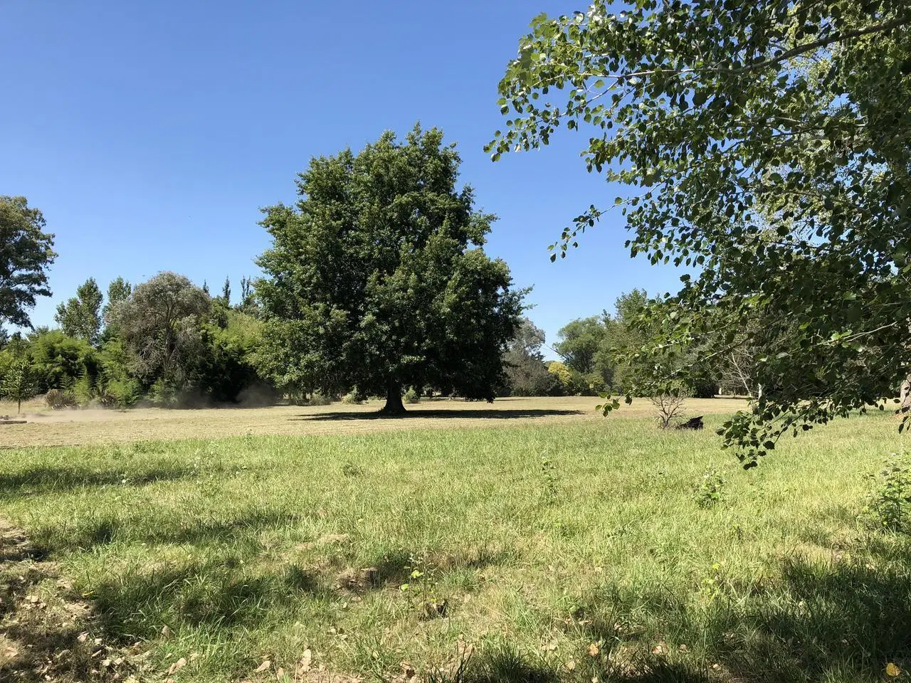 Campo en venta en La Plata 3