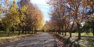 Terreno en venta en Miralagos 4