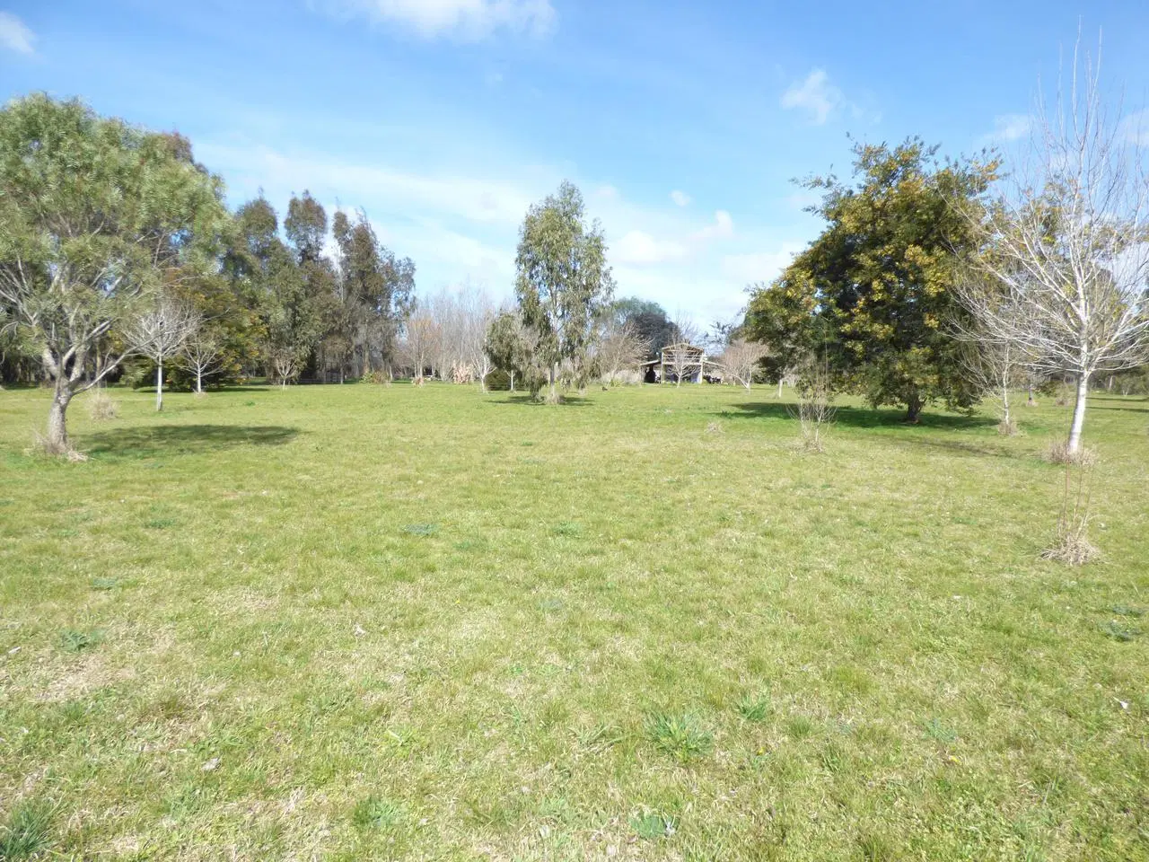 Casa en venta en Arturo Segui 2
