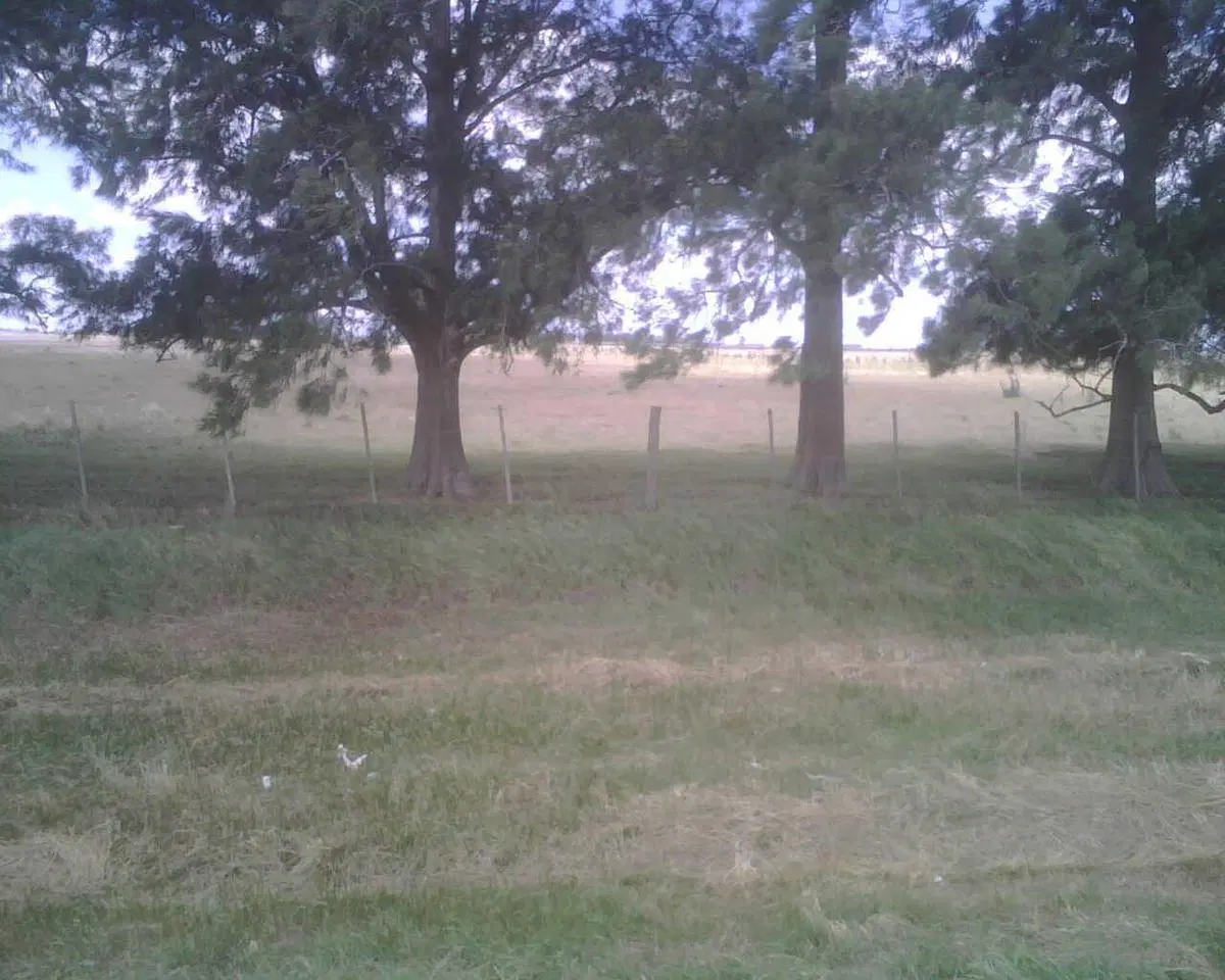 Campo en venta en La Plata Ruta 2 Km 68 - Dacal Bienes Raices 5