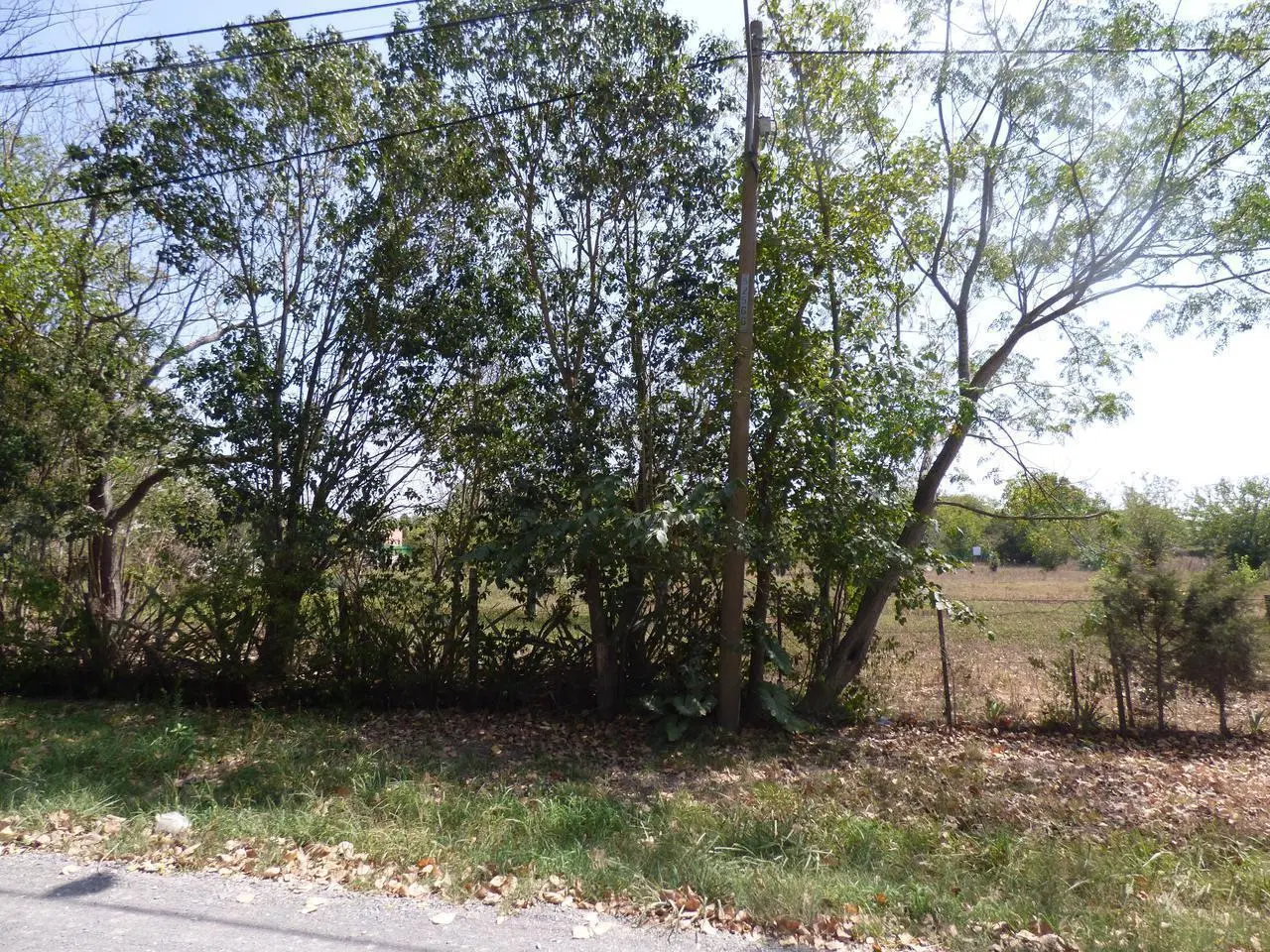 Terreno en venta en Villa Elisa 3