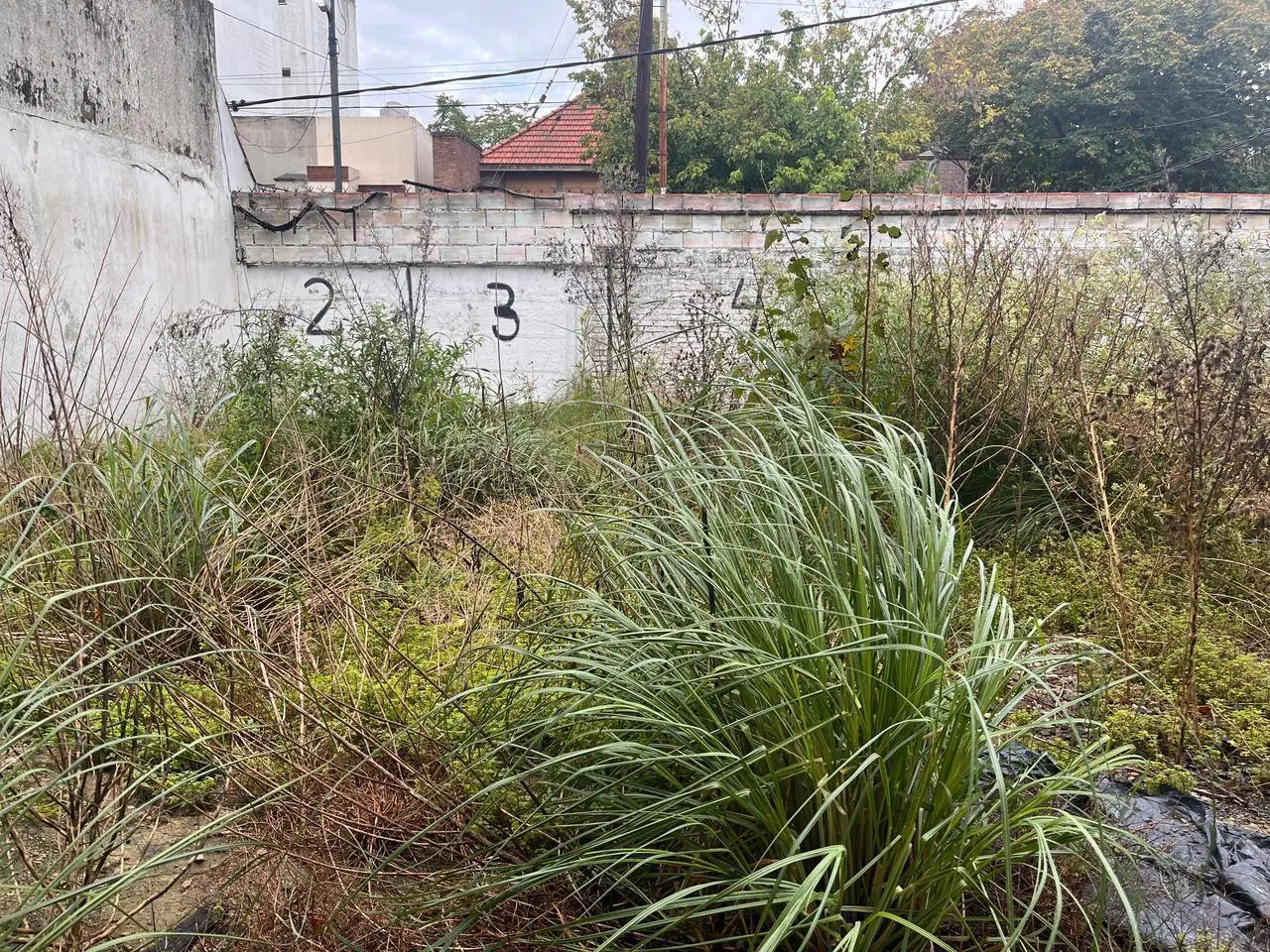 Galpón en venta en La Plata 2