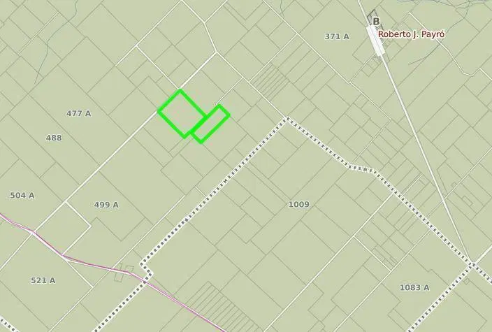 Campo en venta en Roberto Payro 2