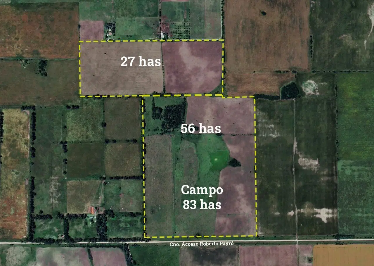 Campo en venta en Roberto Payro 1