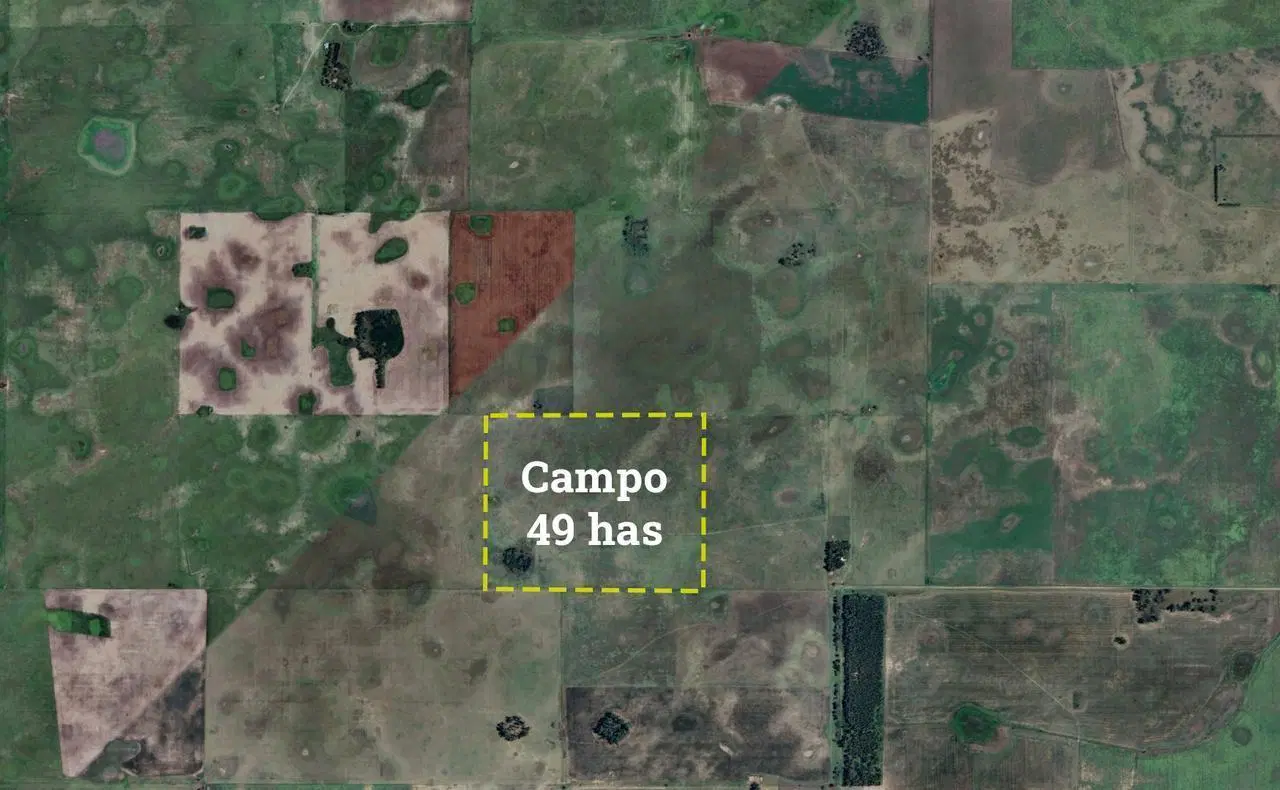 Campo en venta en Gral. Belgrano 3