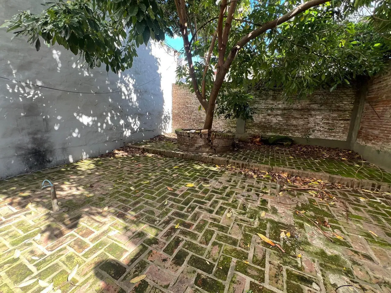 Local en Venta en La Plata 3