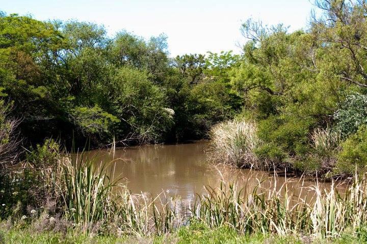 Campo en venta en Atalaya