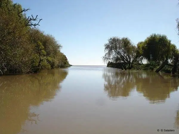Campo en venta en Atalaya 4